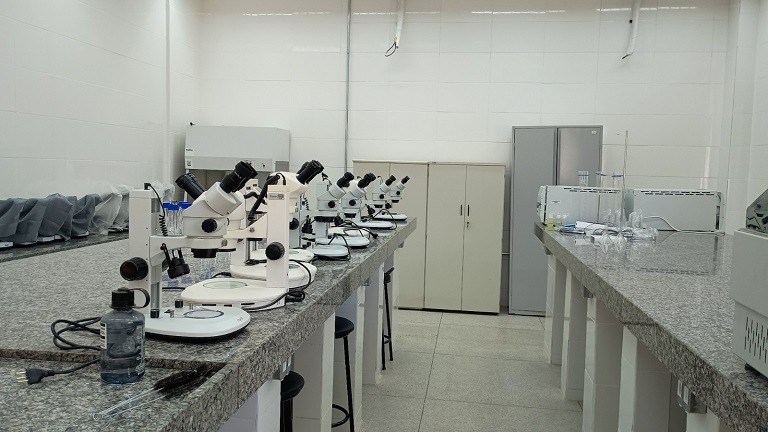 WhatsApp Image 2025-04-25 at 21.43.46.jpeg