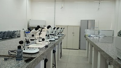 WhatsApp Image 2025-04-25 at 21.43.46.jpeg