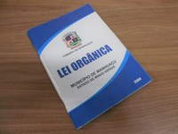 Câmara aprova projeto de emenda à Lei Orgânica de Manhuaçu