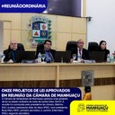 Onze projetos de lei são aprovados em reunião na Câmara de Manhuaçu